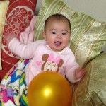 2月 1日 シルバニアファミリー