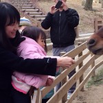 2月 6日 五月山動物園🐴