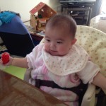 2月11日 取扱説明書