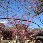 3月12日 ドキドキ初対面