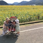 2016/07/29 ひまわり