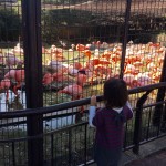 2016/10/27 王子動物園