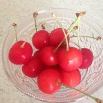 2016/07/02 神戸どうぶつ王国