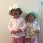 2017/04/23 夏の準備