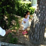 2017/06/09 元気爆発☆