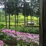 2017/06/28 京都 宇治散策 (前)