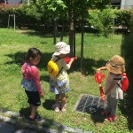 2018/06/16 夏がくる