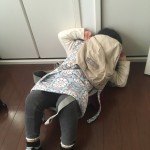 2018/01/18 抱っこ紐となったん