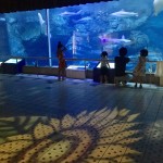 2018/08/27 夜の須磨水族館〜① ライトアップ