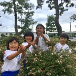 2018/09/12 雨雨ふれふれ母さんが〜♬