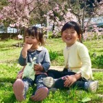 2018/03/31 さくら さくら さくら