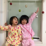 2017/12/05 ピンクと黄色