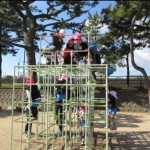 2017/11/21 公園巡り♬