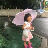 2018/07/07 雨の七夕