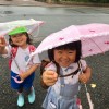 2018/06/06 雨の一日